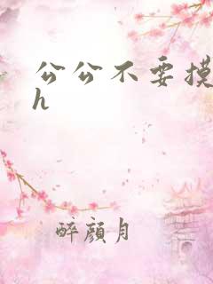 公公不要摸我高h