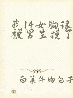 我14女胸很大被男生摸了