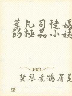 叶凡司徒嫣然我的极品小姨完整