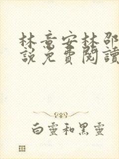 林意安林邵民小说免费阅读最新章节