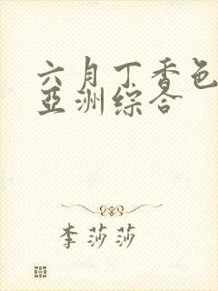 六月丁香色婷婷亚洲综合