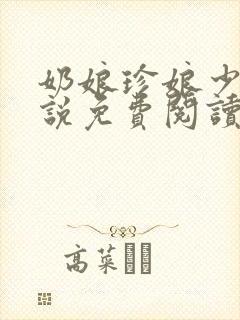 奶娘珍娘少爷小说免费阅读