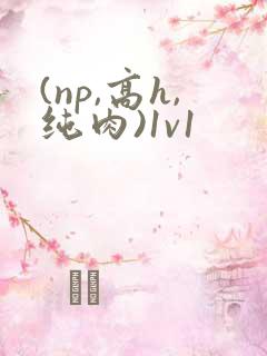 (np,高h,纯肉)1v1