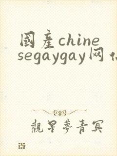 国产chinesegaygay网站