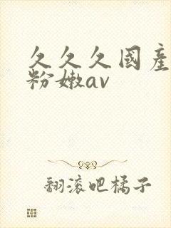 久久久国产精品粉嫩av