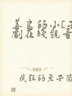 善良的小[子韩剧在线观看