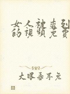 女人被爽到高潮的视频免费95