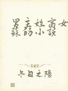 男主姓商女主姓苏的小说