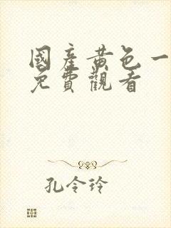 国产黄色一级片免费观看