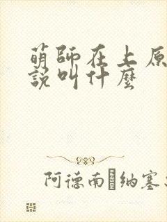 萌师在上原著小说叫什么