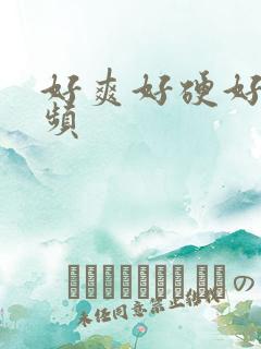 好爽好硬好湿视频