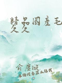 精品国产毛片久久久