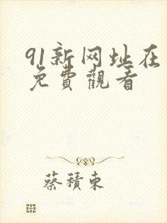 91新网址在线免费观看