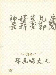 神婿叶凡唐若雪最新章节阅读