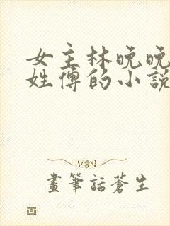 女主林晚晚男主姓傅的小说