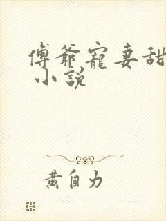 傅爷宠妻甜入骨 小说