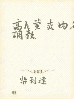 高h荤爽肉欲文调教