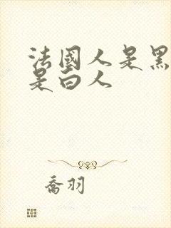 法国人是黑人还是白人