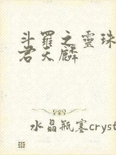 斗罗之灵珠神剑君天麟