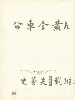公车全黄h