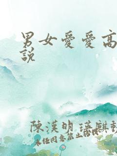 男女爱爱高潮小说