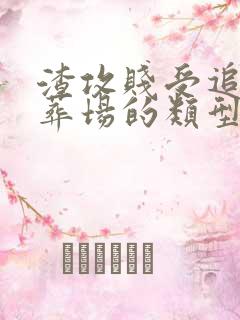 渣攻贱受追妻火葬场的类型文