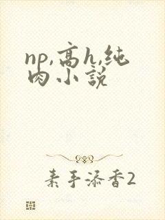 np,高h,纯肉小说