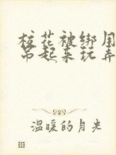 校花被绑用乳环吊起来玩弄双乳小说