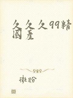 久久久99精品国产