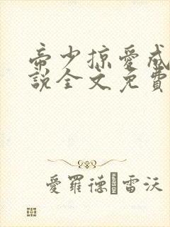 帝少掠爱成瘾小说全文免费阅读