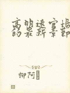 高明远官场小说的最新章节更新