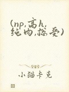 (np,高h,纯肉,总受)