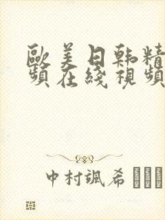 欧美日韩精品视频在线视频