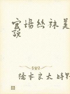 官场丝袜美妇小说