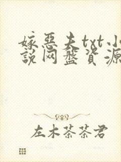 嫁恶夫txt小说网盘资源