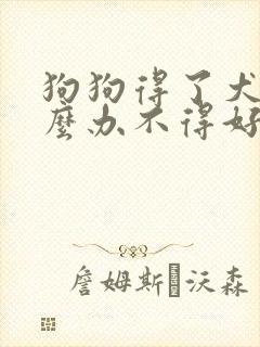 狗狗得了犬瘟怎么办不得好