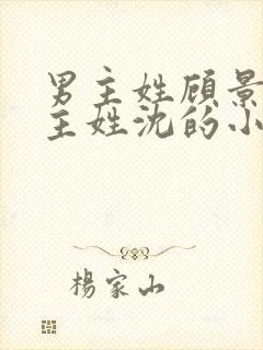 男主姓顾景琛女主姓沈的小说