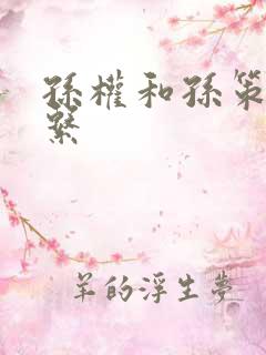 孙权和孙策的关系