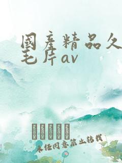 国产精品久久久毛片av