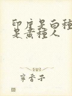 印度是白种人还是黄种人