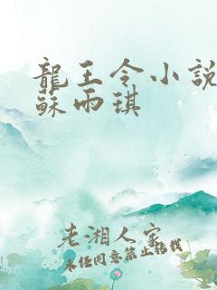 龙王令小说陈平苏雨琪