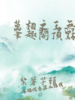 万相之王无弹窗笔趣阁顶点