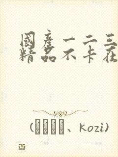 国产一二三美女精品不卡在线观看