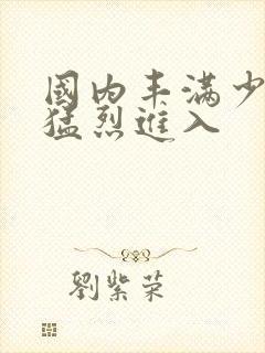 国内丰满少妇被猛烈进入