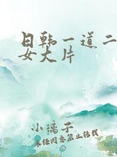 日韩一道二区美女大片