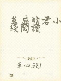 万历明君小说在线阅读