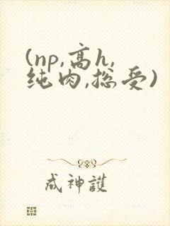 (np,高h,纯肉,总受)