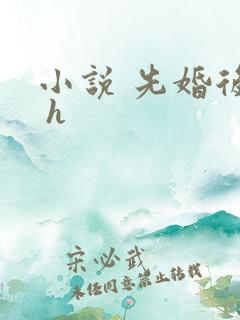 小说 先婚后爱 h