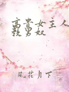 高贵女主人脚调教男奴