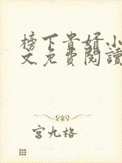 榜下贵婿小说全文免费阅读无弹窗